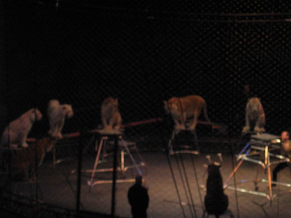 june08 013.jpg